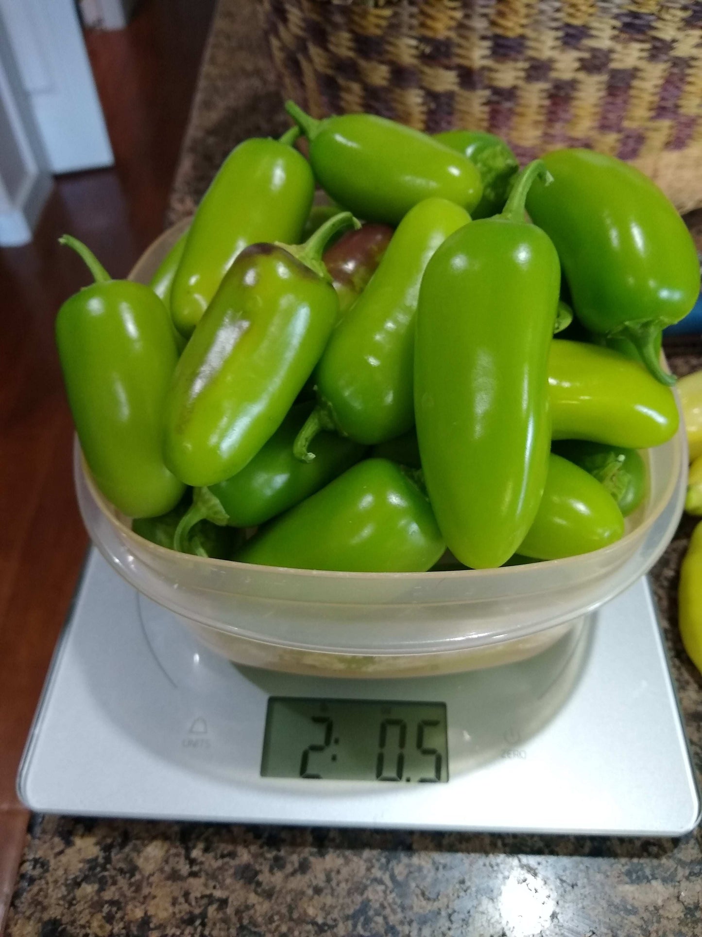 F. The Full Harvest Package | In Person