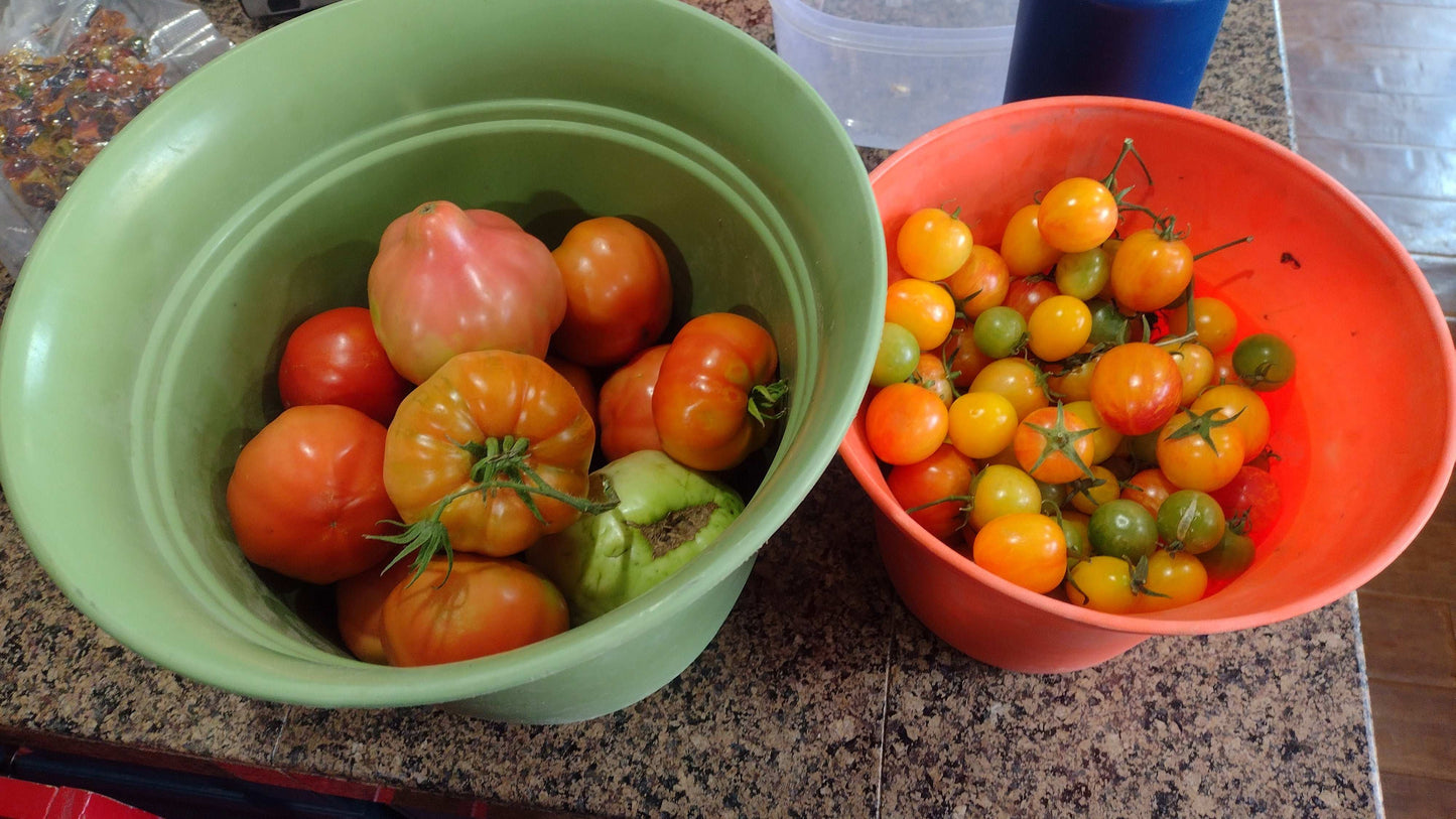 F. The Full Harvest Package | In Person